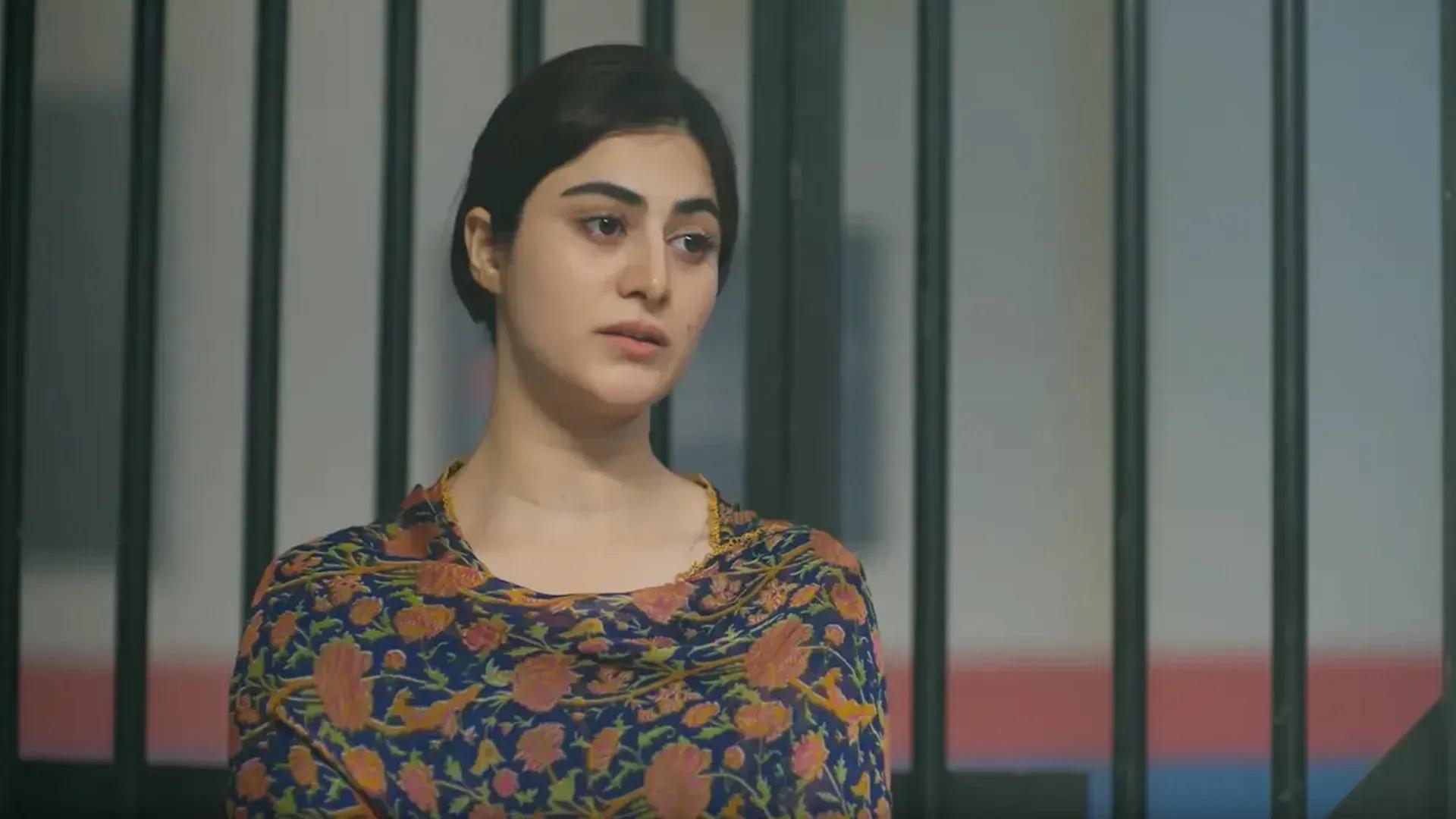 Mirza Ki Heer Episode 35