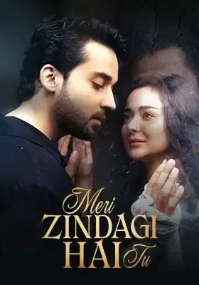 MERI ZINDAGI HAI TU |