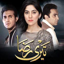 Teri Raza - ARY Digital Exclusive Drama