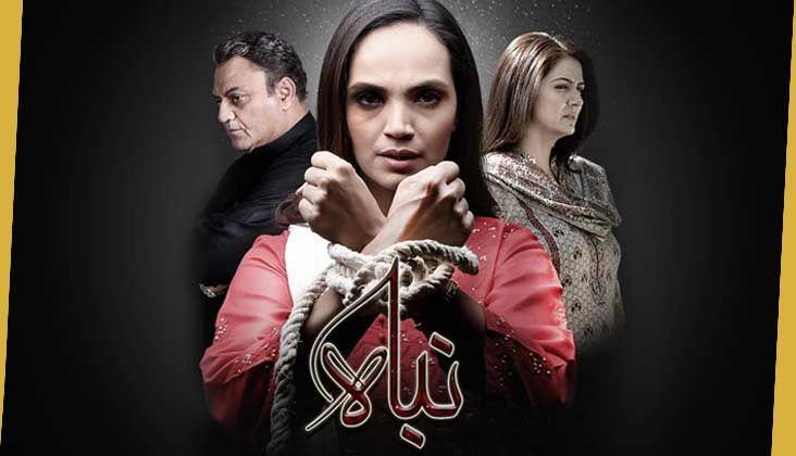 "Nibah" starting tonight at 8 PM!