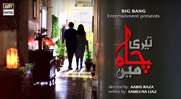 Teri Chah Main OST | Title Song By Farhan Saeed | With Lyrics